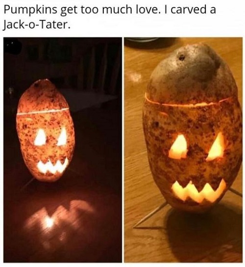 jack o tater garden.jpg